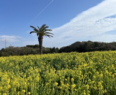 カウンセリング、占います イメージ1