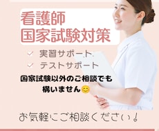 看護学生の学習サポートをいたします イメージ1