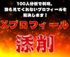 あなたのXプロフィールを徹底添します