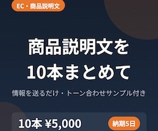 ECサイトの商品説明文を10本まとめて作成します イメージ1
