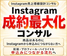 バズより成約を増やすインスタ導線をコンサルします Instagram徹底コンサル｜フォロワー数より成約重視◎
