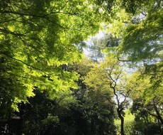 癒しのセラピストが雑談、愚痴をお聴きします
