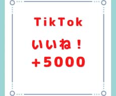 TikTokのいいね+5000増えるまで拡散します 実績作りのために今だけ赤字価格で出品しております。