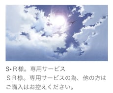ＳＲ様。専用サービスます ＳＲ様。専用サービスの為、他の方はご購入をお控えください。
