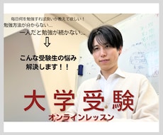 大学受験対策のレッスンをします 志望校合格へ、何をどう勉強すれば良いか困っている受験生へ