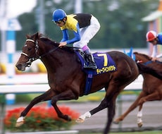 7/18【福島・函館・小倉】競馬予想します