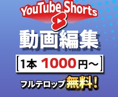 Youtube等に向けたショート動画の編集をします イメージ1