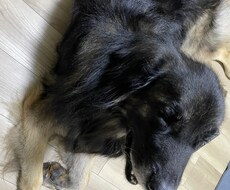 悩んでいる事、聴かせて頂きます イメージ1