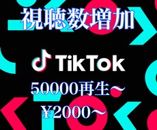 Tiktokの視聴数を増やします イメージ1