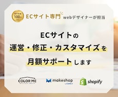 EC運用・修正・カスタマイズを月額サポートします イメージ1