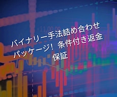 専業が本気で取り組む2つのバイナリー手法を教えます 今後の無償追加保証。厳選バイナリー手法の詰め合わせパッケージ