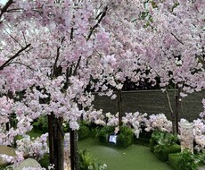 質問者様にとって最適な答えを導きます