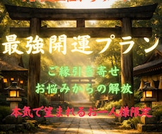 最強開運！貴方をお悩みから解放いたします イメージ1