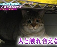 どんなお話も聞きます イメージ1