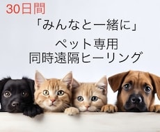 30日間 治療中のペットちゃんに癒しを提供します イメージ1