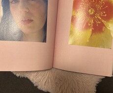 恋愛のお悩み相談できます イメージ1