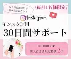インスタ運用を30日間サポート致します 悩む時間・調べる時間をゼロに！自己流運用は卒業しませんか？