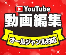 Youtube向け動画の編集致します 丁寧でこだわった編集を致します