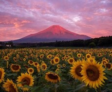 今の職場が辛い…辞めるべきか続けるべきか占います イメージ1