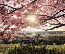 愛車の魅力を最大限に。出張撮影します 貴方の宝物をスマホでは残せない1枚に