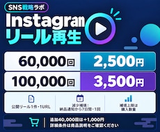 インスタリール再生6万回を追加手配します イメージ1