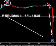 FXで専業（スキャルピング）デイレ－ドになります ゴ－ルド通貨以外でも大丈夫です期間限定でお安くしました