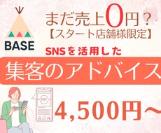 BASEの売上0円店舗様限定　集客アドバイスします まだ売上0円？ネットショップは立ち上げただけでは売れません！
