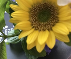 あなたの心に寄り添います イメージ1