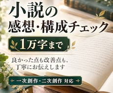 あなたの小説を丁寧に読み感想と改善点を伝えます 良かった点も気になった点も、読者目線で具体的にお返しします