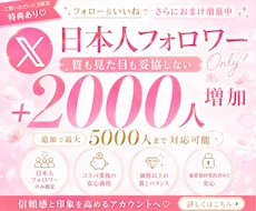 Twitter日本人フォロワー特別価格で増やします ツイッターで出来るだけ安く、信頼感を整えたいあなたへ