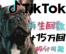 Tiktok再生回数15万回拡散します プロの拡散力で、あなたの魅力を15万人に。