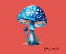 男性限定♡昭和の姉さんがあなたのモヤモヤを整えます 愚痴・悩み・雑談☾* 逃げ場所のない男たちの緊急シェルター