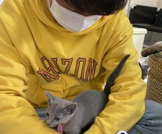 大学男子が喜ぶことを教えれます イメージ1