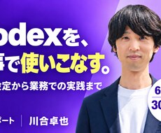 Codexの設定と使い方を個別サポートします イメージ1