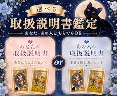 選べる取扱説明書をタロット占いで作ります 残り四名様価格♡あなた・あの人どちらでもOKです