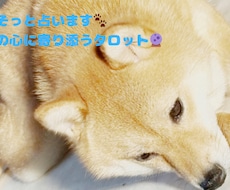 豆柴が届ける今のあなたへのタロットで占います イメージ1