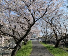 リアル手紙屋！お悩みに合わせて温かい手紙を書きます イメージ1