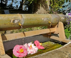 辛口鑑定✡結果出たままに伝えます イメージ1