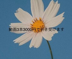 動画3本3000円で編集します イメージ1