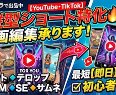 YoutubeSNSのショート動画の編集を承ります イメージ1