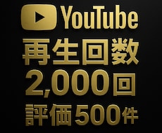 YouTube再生回数2000回と評価を増やします 90日保証✨再生回数2000回＆評価500件✨振り分け可