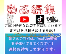 YouTube、TikTokの動画編集いたします イメージ1