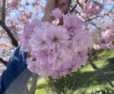あなたの事をタロット占いします イメージ1