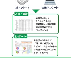 アンケートの単純集計・グラフ化・レポート代行します 紙の入力からクロス集計もお任せ！年間千件以上の実績で安心。
