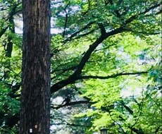 貴方がにこにこになれるように寄添います イメージ1