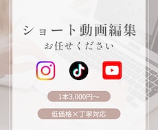 SNS用ショート動画編集します イメージ1