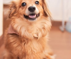 あなたらしい魅力を引き出す写真を撮影します イメージ1