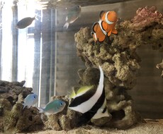 育児にお悩み中のママ、パパさん愚痴悩みなど聞きます イメージ1