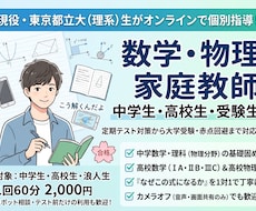 現役都立大生が中高の数学・物理を個別指導します イメージ1
