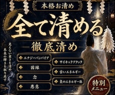 除去★生霊★悪意★念★エナジーバンパイア★みます ★★危険なものからあなたを守る★★